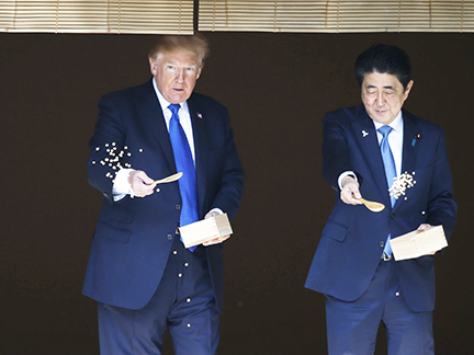 Abe Shinzo and Donald Trump Feeding the Koi (November, 2017)
